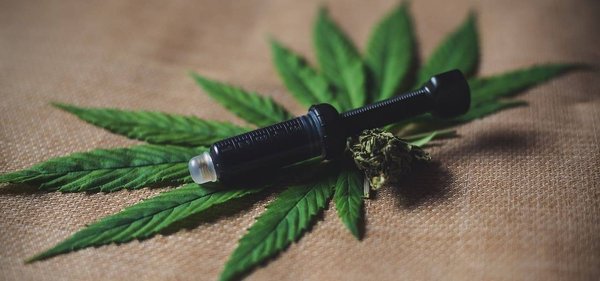 Pourquoi consommer l'huile de CBD ?