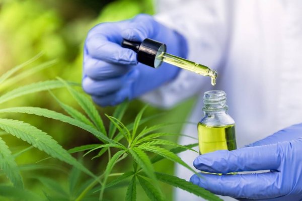 Le CBD pour soulager les douleurs chroniques