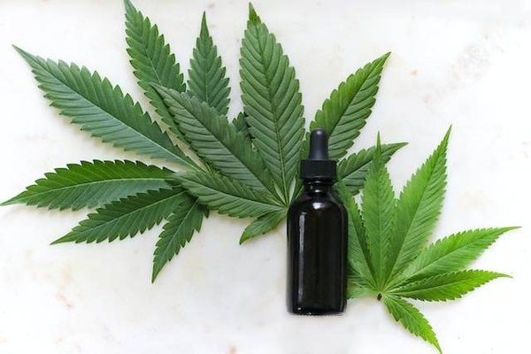 Quels sont les bienfaits du CBD pour la santé ?