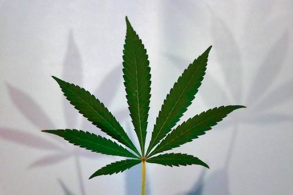 Comment consommer le CBD de manière sûre et légale ?