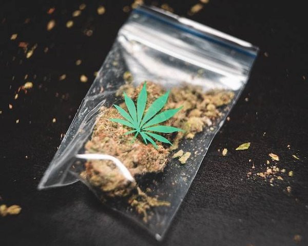 Comment utiliser le CBD pour traiter la douleur chronique ?
