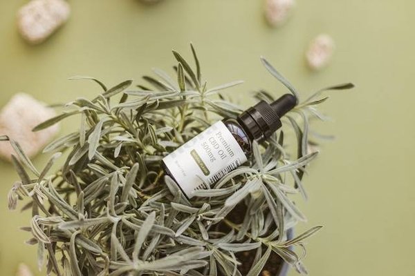 Comment utiliser le CBD pour traiter l'insomnie et améliorer le sommeil ?