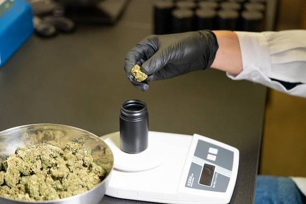 Comment voyager avec du CBD en toute légalité ?